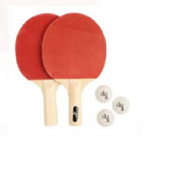 RAQUETA DE PING PONG