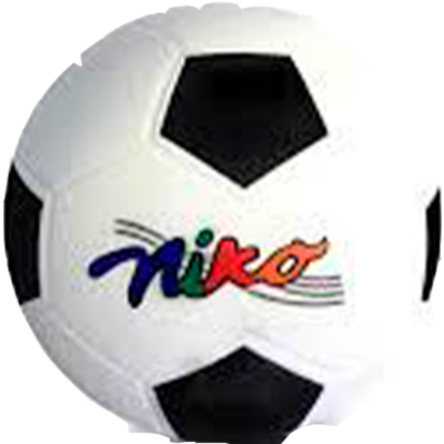 PELOTA FuTBOL NIKO1