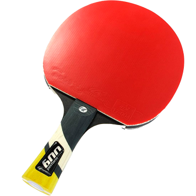 RAQUETA PERFORM 600 1