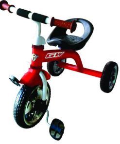 TRICICLO NINONINA  XG19119 GW 1